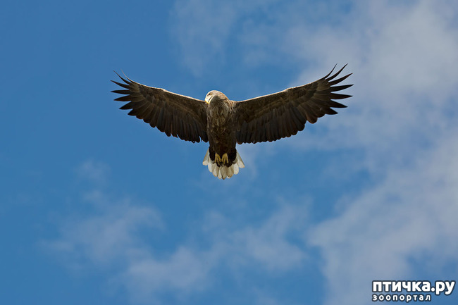 ���� 7: ������. �. �.