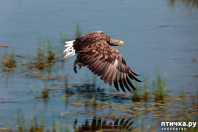 ���� 12: ������. �. �.