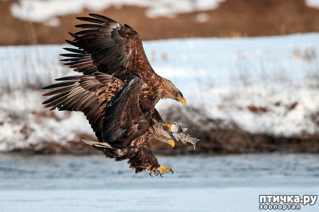 ���� 10: ������. �. �.