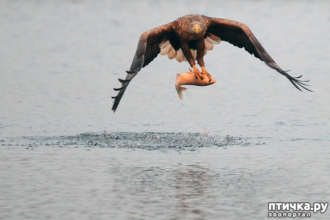 ���� 9: ������. �. �.