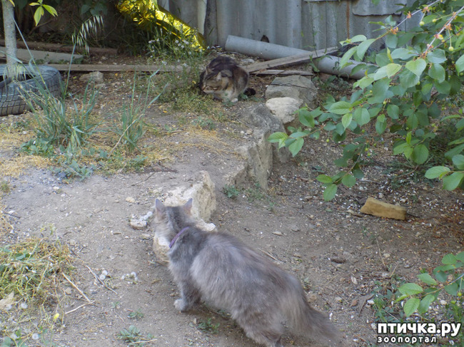 ���� 18: �� ��� ����� ��� ����... �� ���!