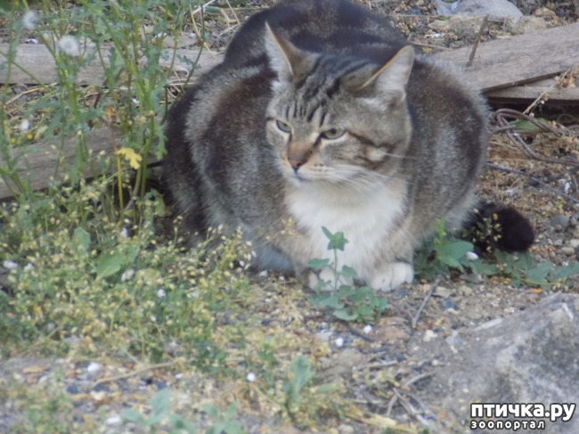 ���� 17: �� ��� ����� ��� ����... �� ���!