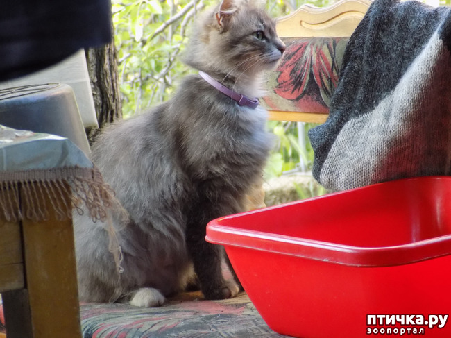 ���� 20: �� ��� ����� ��� ����... �� ���!