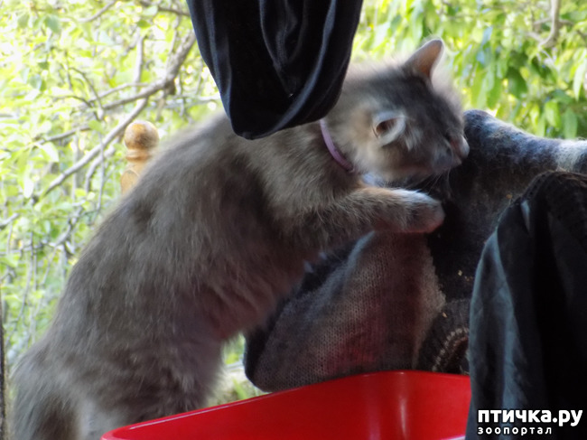 ���� 21: �� ��� ����� ��� ����... �� ���!