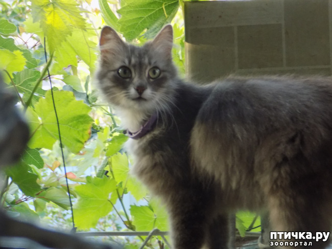 ���� 22: �� ��� ����� ��� ����... �� ���!