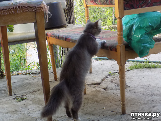 ���� 25: �� ��� ����� ��� ����... �� ���!