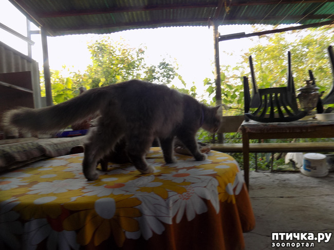 ���� 26: �� ��� ����� ��� ����... �� ���!