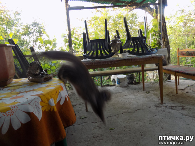 ���� 27: �� ��� ����� ��� ����... �� ���!