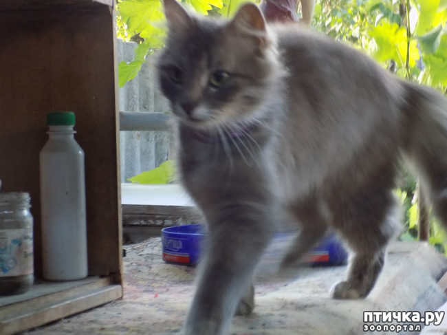 ���� 28: �� ��� ����� ��� ����... �� ���!