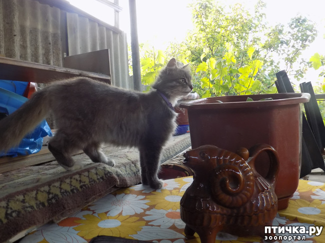 ���� 29: �� ��� ����� ��� ����... �� ���!