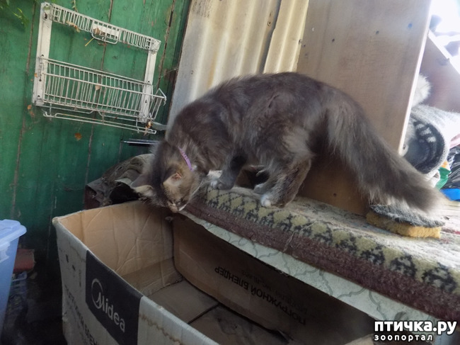 ���� 30: �� ��� ����� ��� ����... �� ���!