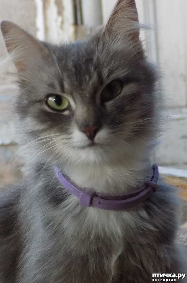 ���� 31: �� ��� ����� ��� ����... �� ���!