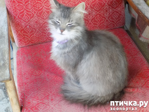 фотография: Не мой вчера был день... Не мой! фото: Не мой вчера был день... Не мой!