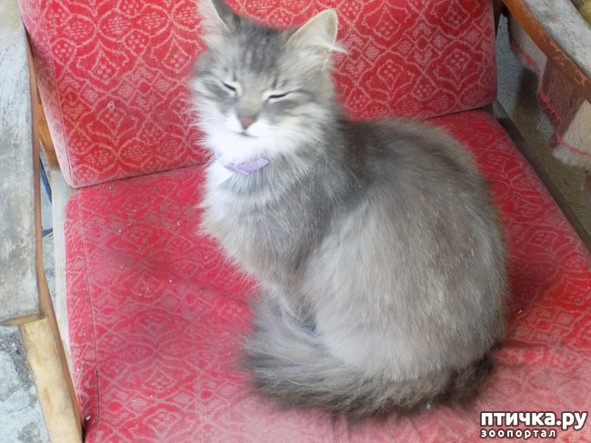 ���� 1: �� ��� ����� ��� ����... �� ���!