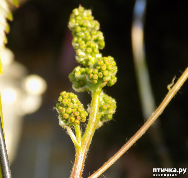 ���� 2: �� ��� ����� ��� ����... �� ���!