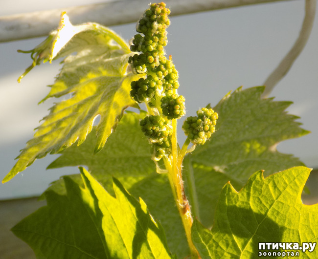 ���� 3: �� ��� ����� ��� ����... �� ���!