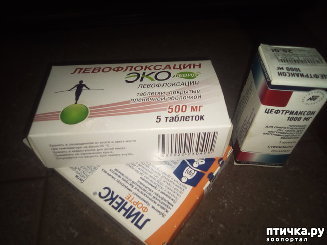 ���� 32: �� ��� ����� ��� ����... �� ���!