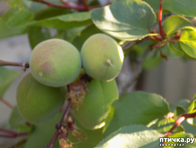 ���� 5: �� ��� ����� ��� ����... �� ���!