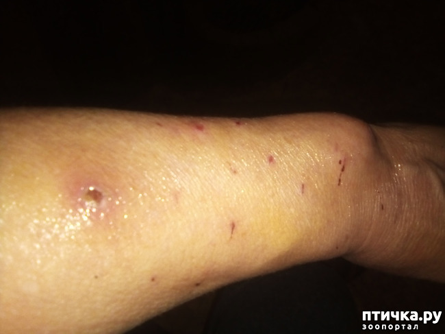 ���� 33: �� ��� ����� ��� ����... �� ���!