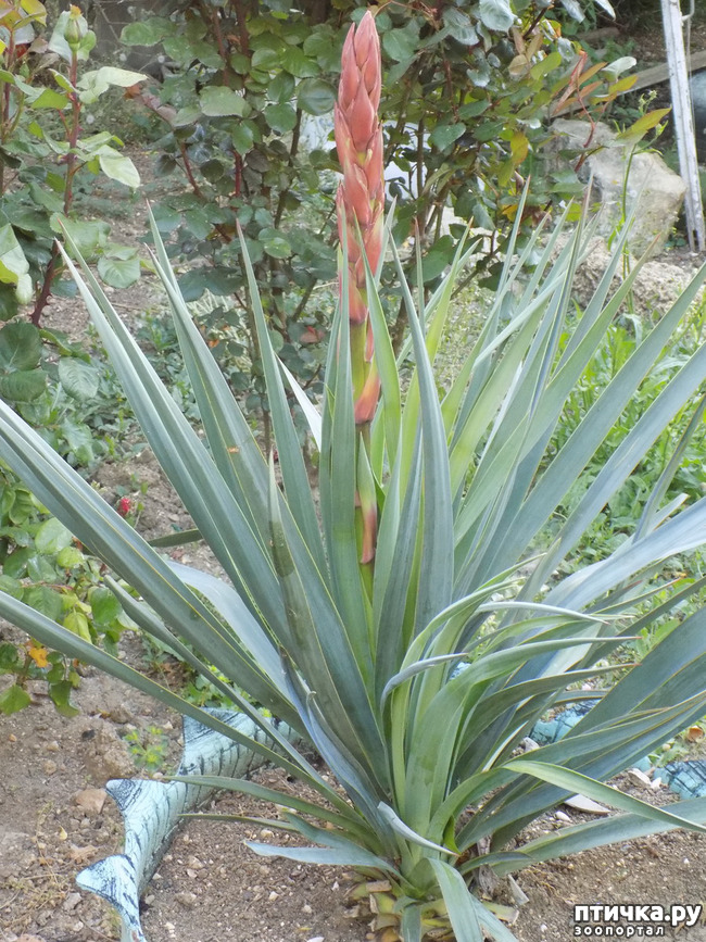 ���� 6: �� ��� ����� ��� ����... �� ���!