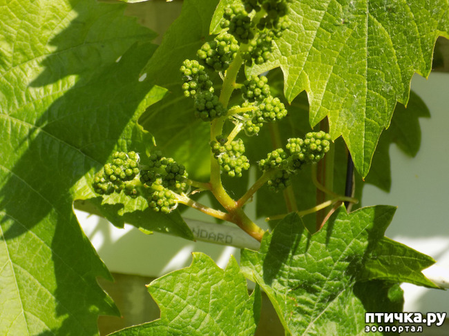 ���� 4: �� ��� ����� ��� ����... �� ���!