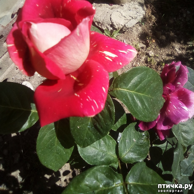 ���� 8: �� ��� ����� ��� ����... �� ���!