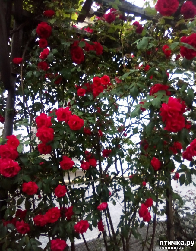 ���� 9: �� ��� ����� ��� ����... �� ���!