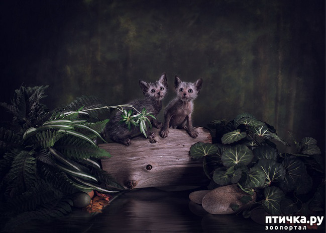 ���� 2: ���� - ��������