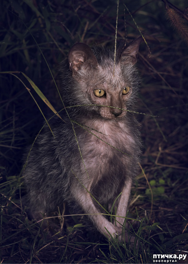 ���� 5: ���� - ��������