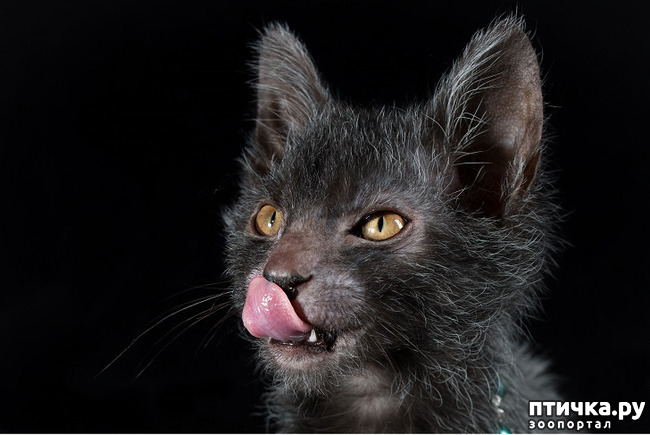 ���� 9: ���� - ��������