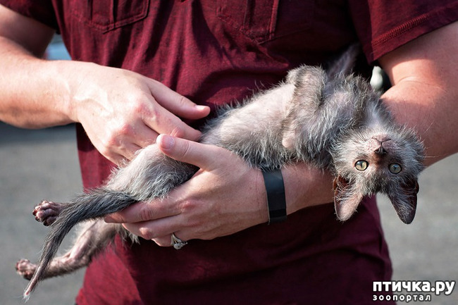 ���� 12: ���� - ��������