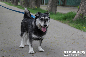 фотография: Мотя фото: Мотя