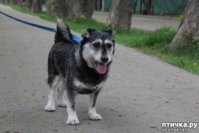 ���� 1: ����