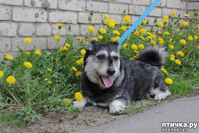 ���� 2: ����