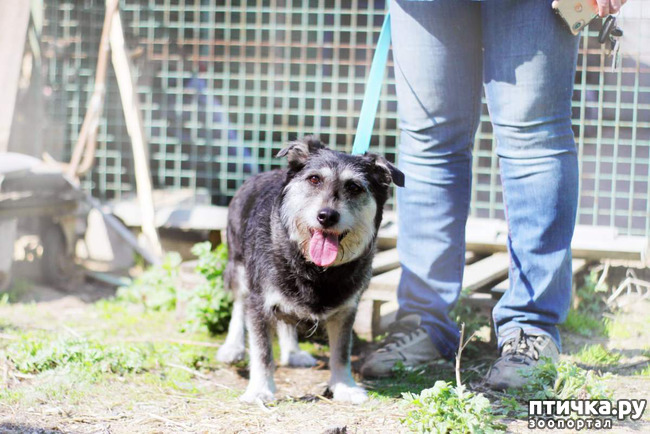 ���� 3: ����