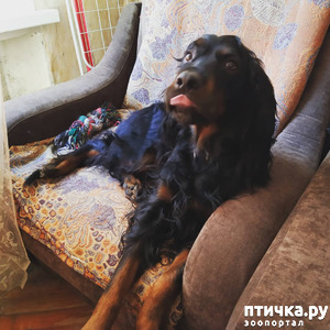 фотография: Эмоции Фани фото: Эмоции Фани