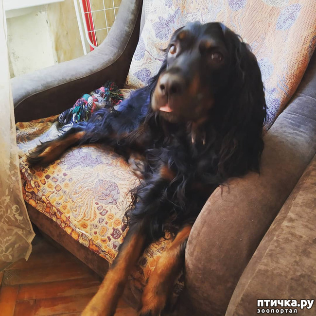 ���� 3: ������ ����