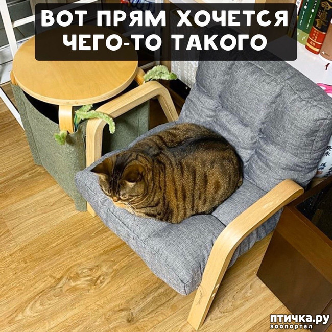 ���� 2: ��� ���� ����� ������