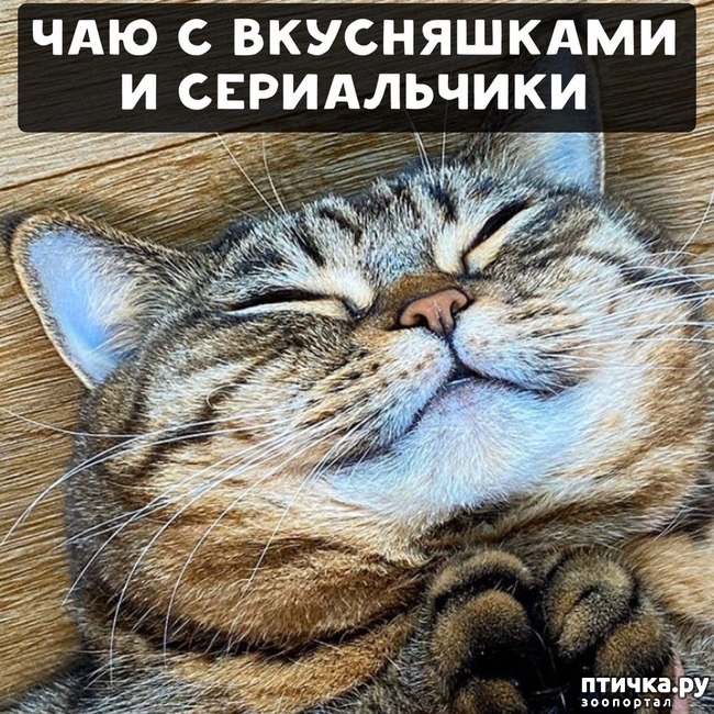 ���� 4: ��� ���� ����� ������