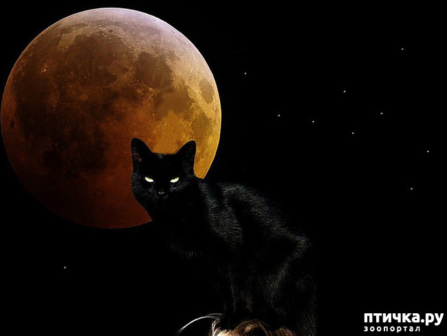 ���� 16: ���� - ��������