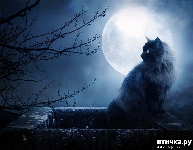 ���� 17: ���� - ��������