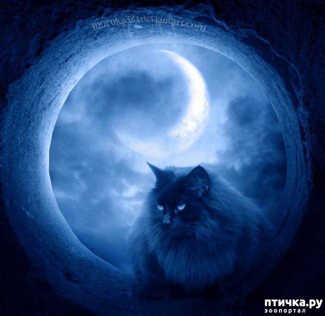 ���� 18: ���� - ��������