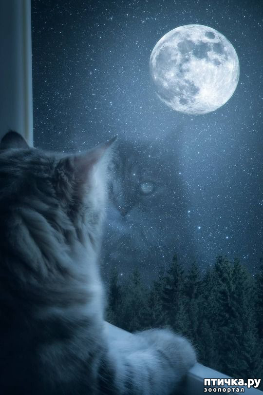 ���� 19: ���� - ��������