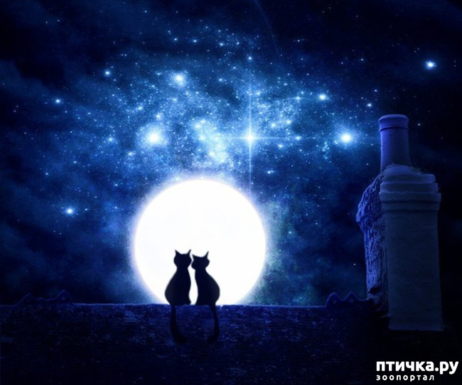 ���� 20: ���� - ��������