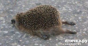 ����: ������ �� - ���� � �����!