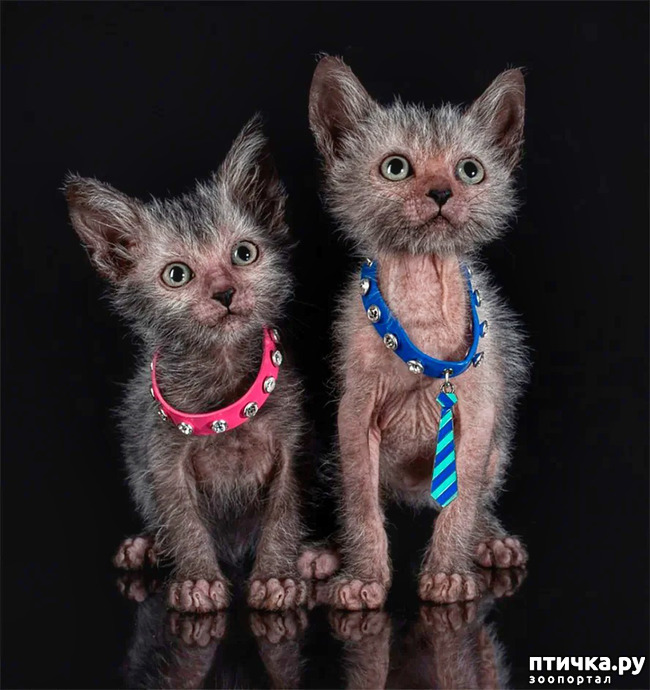 ���� 10: ��� � ����� ��� ������� ������������