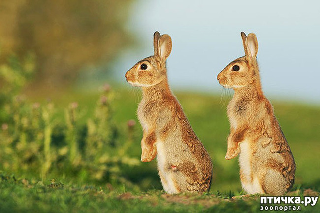 ���� 3: ��� � ����� ��� ������� ������������