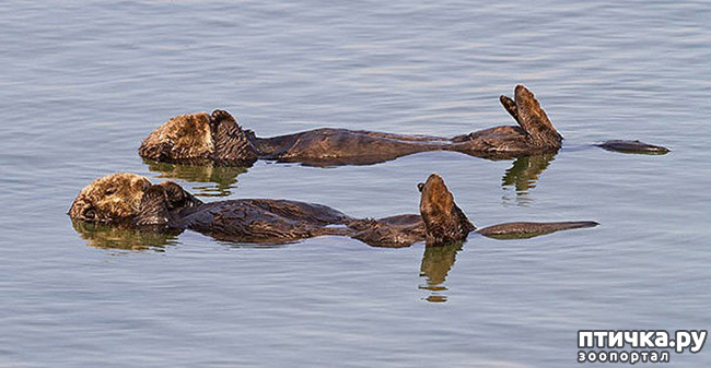 ���� 5: ��� � ����� ��� ������� ������������