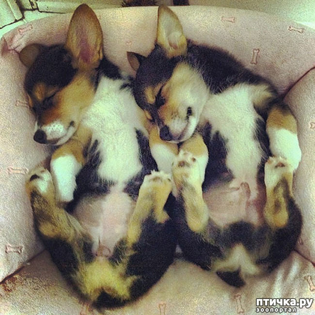 ���� 8: ��� � ����� ��� ������� ������������