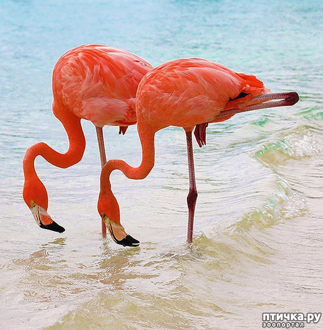 ���� 9: ��� � ����� ��� ������� ������������